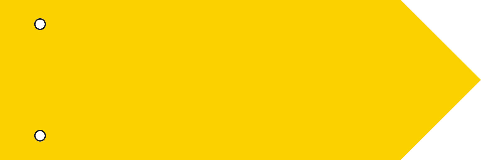 Richtungszeiger 300 x 100 mm